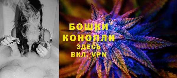 хмурый Елизово