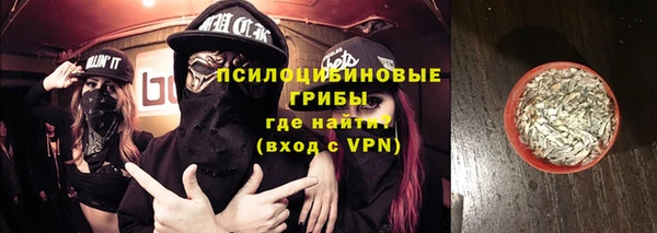 винт Гусев